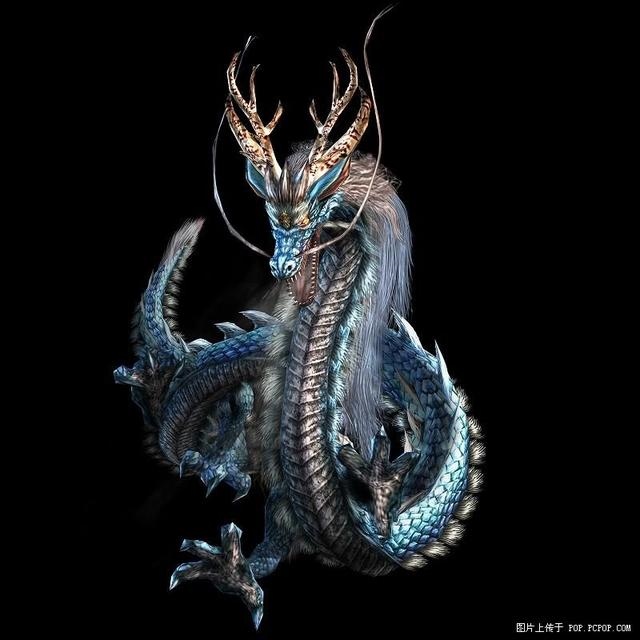 988年的龙龙相配吗,1988年与1988年相配吗"