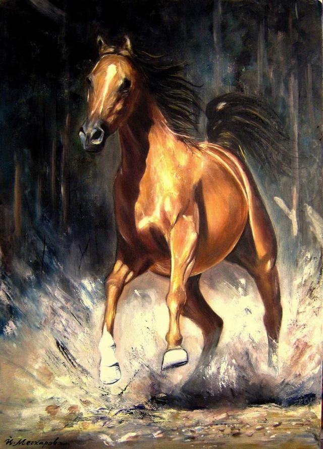 人物动物图片大全，人物动物植物简笔画组合