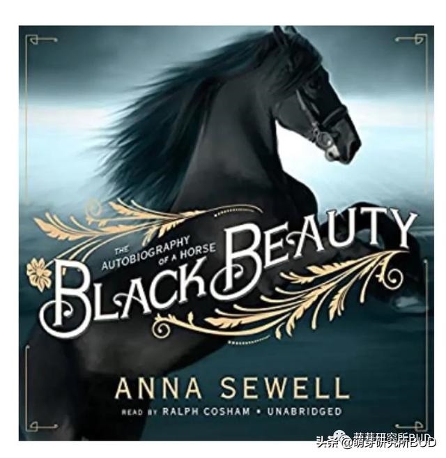 有兔听书 免费，有兔听书app下载