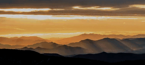 免费查看今年运势，今年星座运势查询