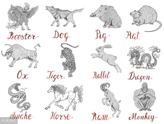 男猴女蛇不要错过，为什么女蛇配猴更佳