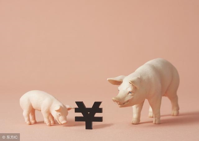 5年猪女的事业，95属猪2022