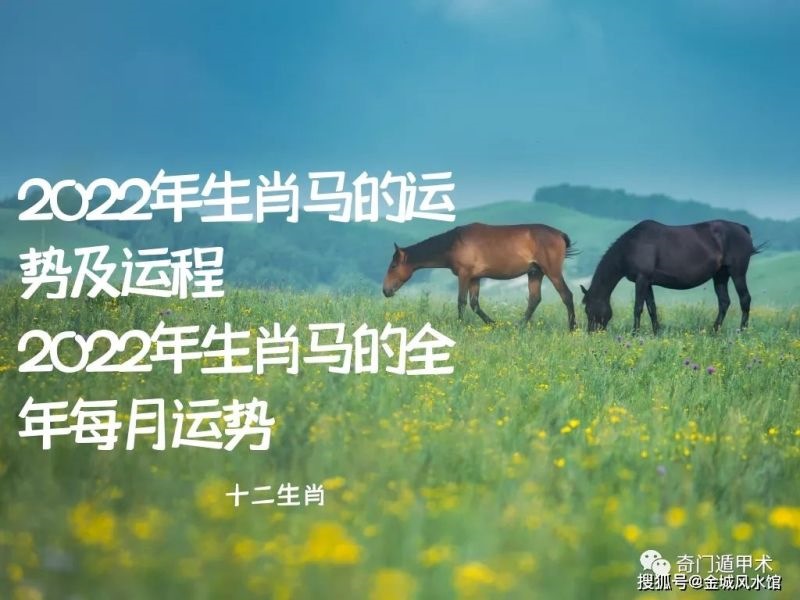 属马的2022年多大了，属马2022年全年运势和运程