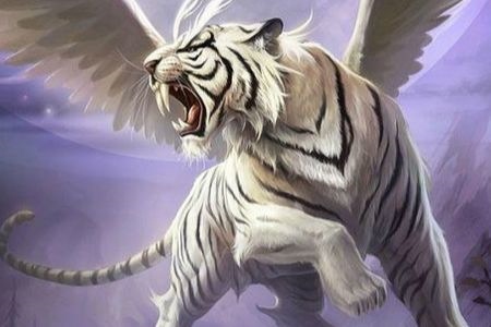 属虎人2022年全年运势详解，2022年属羊人全年12个月运势