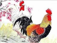 7年兔今年运势,1987年属兔2022