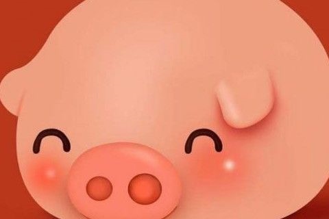 022年属猪的婚姻，属猪一生的命运和婚姻"