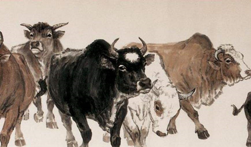 属牛的什么时候出生更好命，属牛男孩什么日子出生好