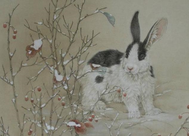 3年属兔人的运势，63年12月属兔的命运"