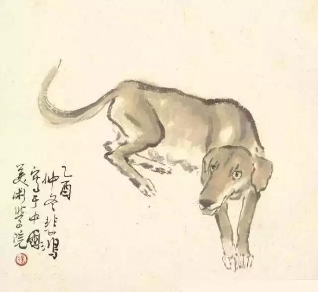 十二生肖哪个属相更好，十二生肖谁更好命女