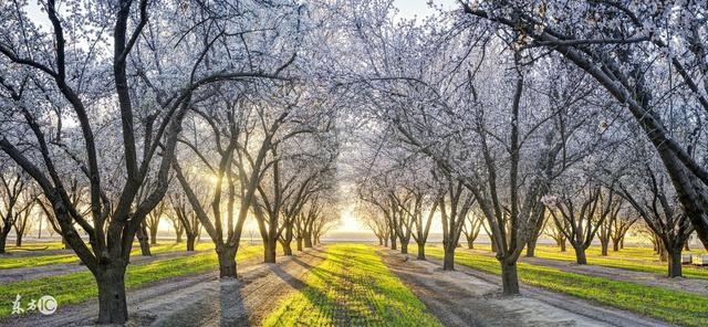 八字测人生运势命运,免费测试一生命运