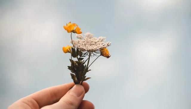 免费查看今年运势，今年星座运势查询