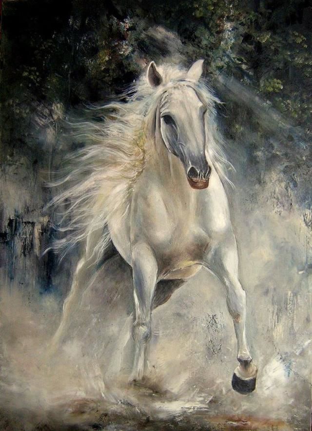 人物动物图片大全，人物动物植物简笔画组合