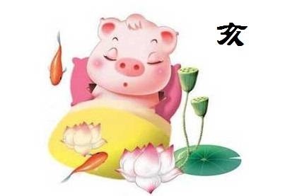 属猪的人每月运势，1983属猪人2022 年运势