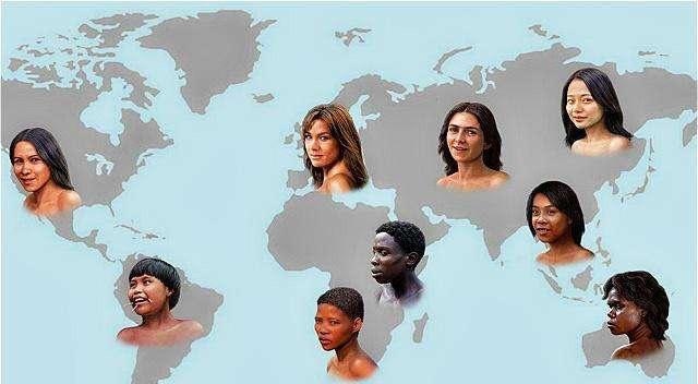 马和驴杂交是不是转基因，鸡蛋受精和没受精怎么区分