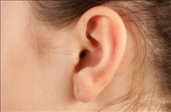 属蛇女为什么命苦，冬天的蛇一辈子苦命吗