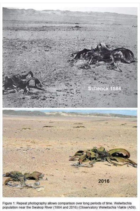 9年属兔人能活到几岁，属兔的人过了几岁会变好"