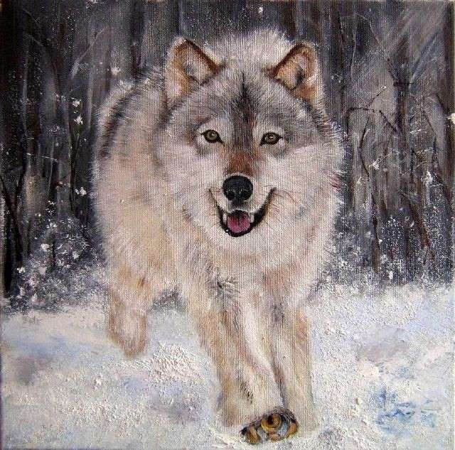 人物动物图片大全，人物动物植物简笔画组合