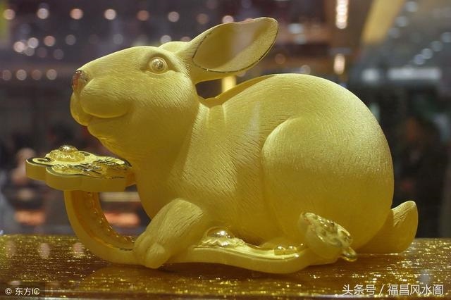 属兔男人一生财运如何,属兔的事业运怎么样