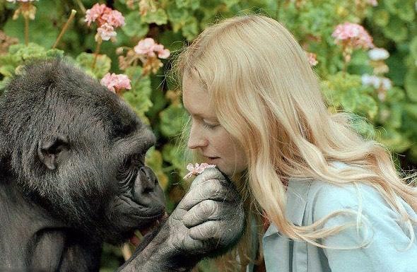 马和驴杂交是不是转基因，鸡蛋受精和没受精怎么区分