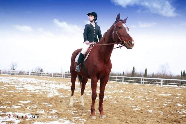 属马的人2022年学业运势，1990属马大运之年