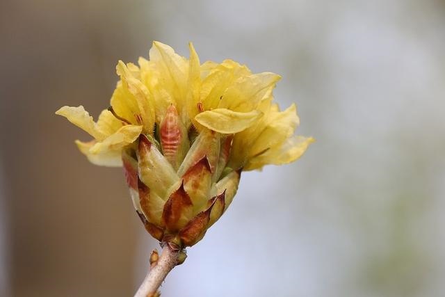 算事业运势2022免费，生辰八字2022年运势