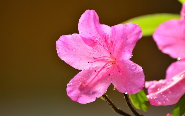 976属龙的幸运数字,属龙的吉祥数字是什么"