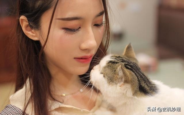 属兔的明天财运如何，属兔今天打牌运气如何