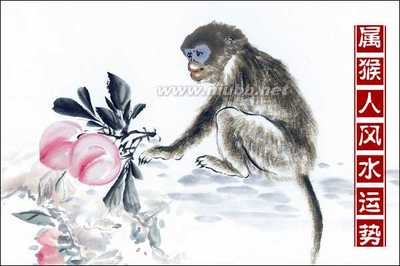 属猴人今年的运势，1992属猴的今年运势怎么样