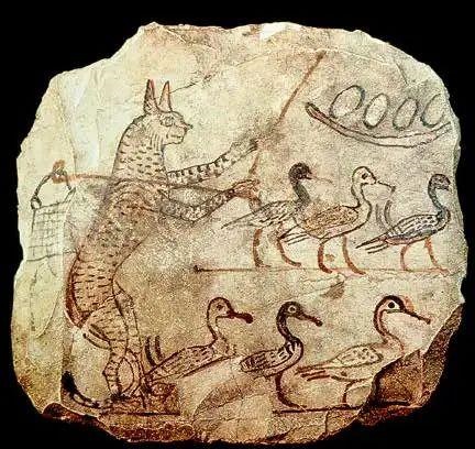 属兔的禁忌什么属相，属兔不能和什么属相在一起