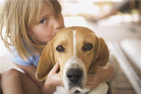 狗的年龄和人的年龄对照表，13斤的狗有多大