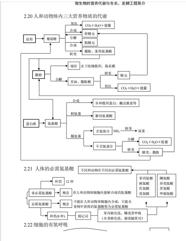 022十二生肖对照图表，十二生肖的顺序表"