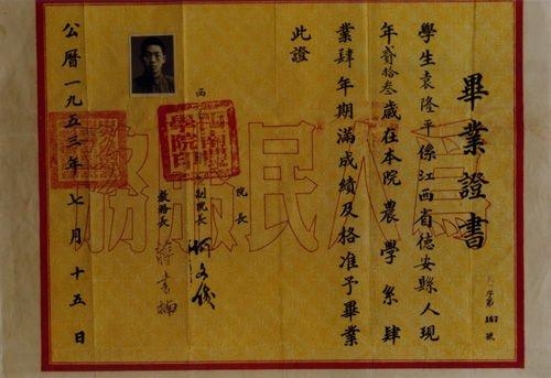 986年个人简历，1987年出生的上学简历"