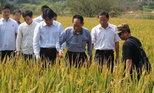 986年个人简历，1987年出生的上学简历"