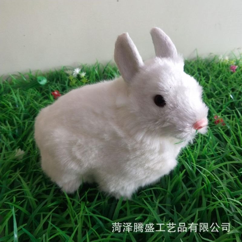 987年兔35岁每月财运,87属兔二次婚姻在几岁"