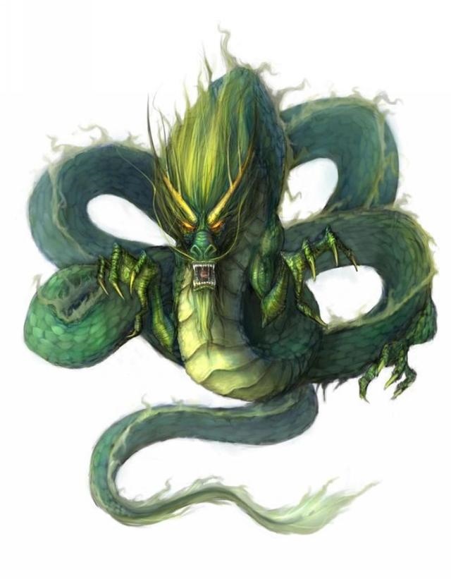 988年的龙龙相配吗,1988年与1988年相配吗"