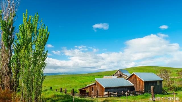 炉中火命属兔缺金的人，1987炉中火命好不好