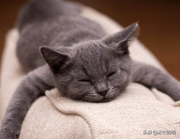 如何查个人运势，怎么查一个人最近的运势