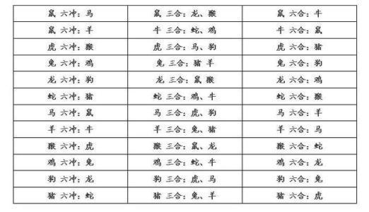 兔和兔的属相合不合1999，99年和04年合不合