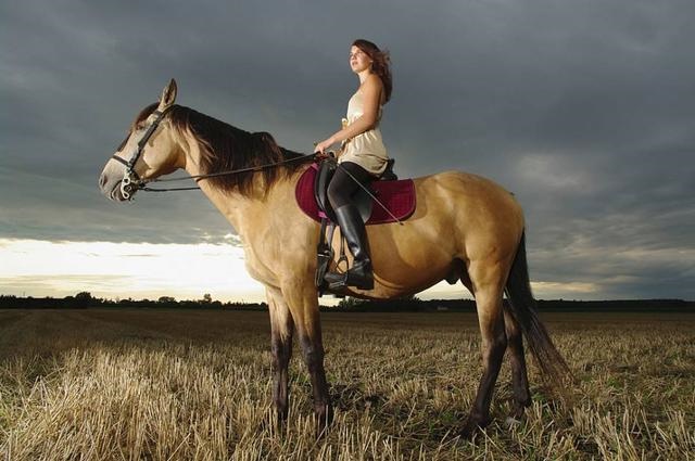 属马的人2022年学业运势，1990属马大运之年