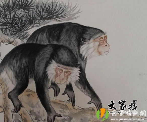 956年属猴能活多少岁，属猴的人怎么死"