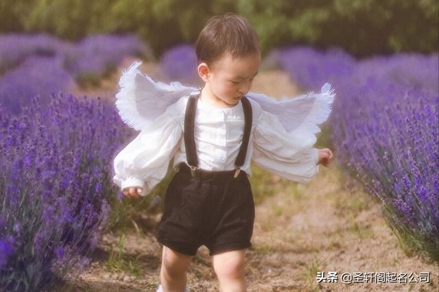 牛年十月男宝宝名字，2022 年10月男宝宝取名