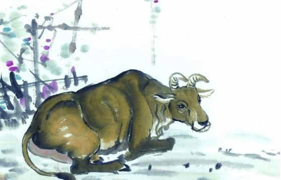 属虎的男人对情人好吗，属虎的女人今年会出轨吗