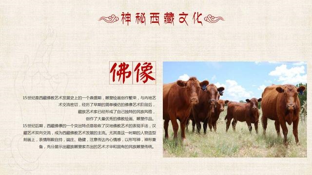 属兔人迎来天塌大事，属兔人近期的天塌大事