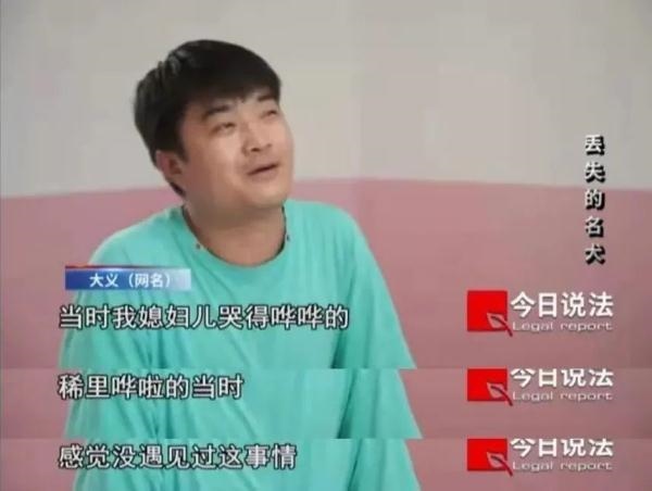 4年狗和00女龙夫妻例子，94年狗女00年龙合婚不"