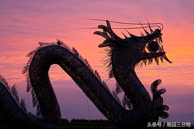 属龙寅时出生的男孩,寅时出生属龙女人命运