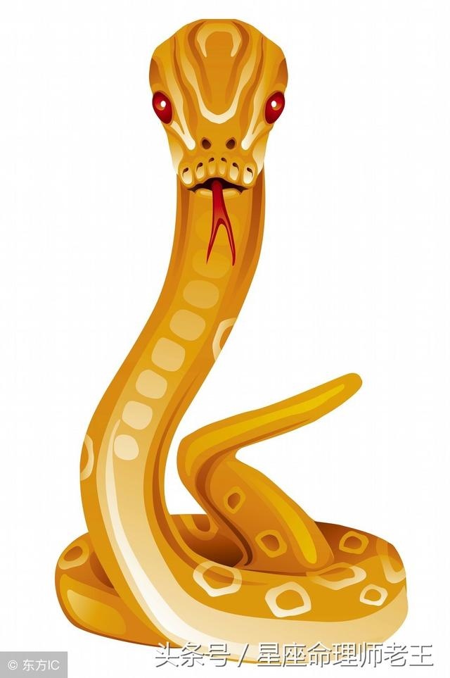 属蛇今年几月怀孕生男孩，2022 几月份怀孕生男孩