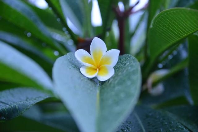 最近老不顺利要怎么化解，最近特别倒霉