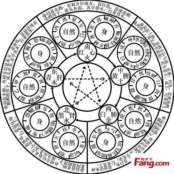 金木水火土号码表2022年，2022年虎年不宜生子的属相