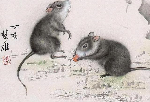 4年鼠年有什么灾难，84年有什么灾难"