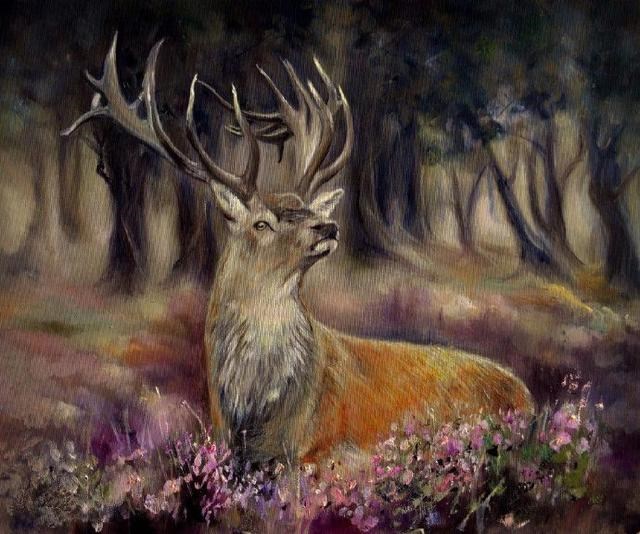 人物动物图片大全，人物动物植物简笔画组合